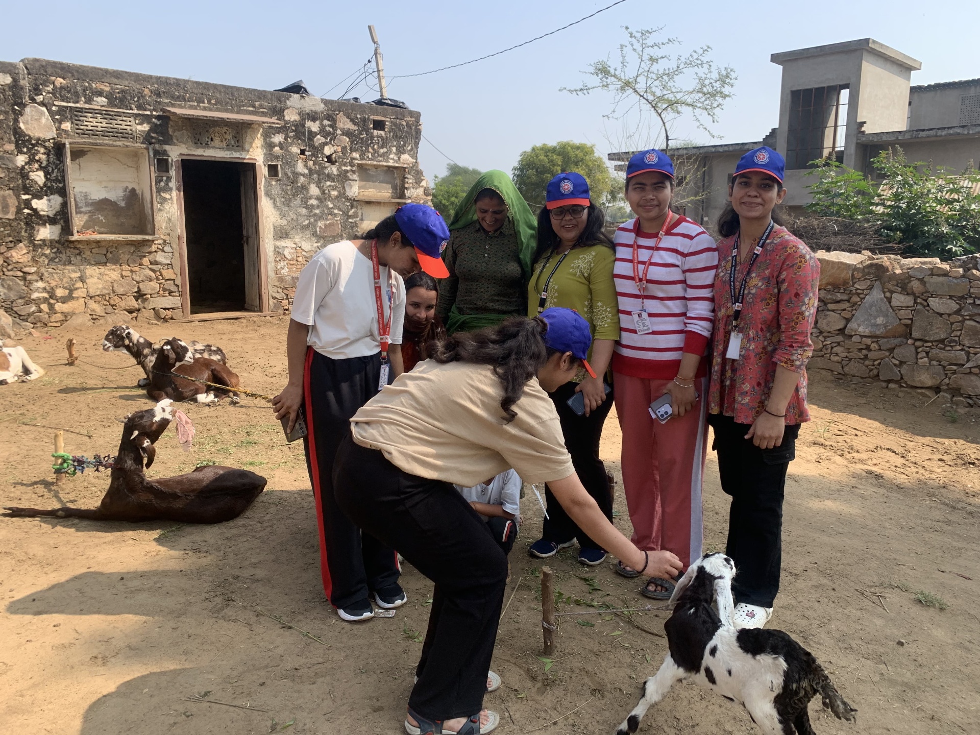 NIMS Jaipur NSS students experiencing village life in Chandwaji while interacting with goats and local residents